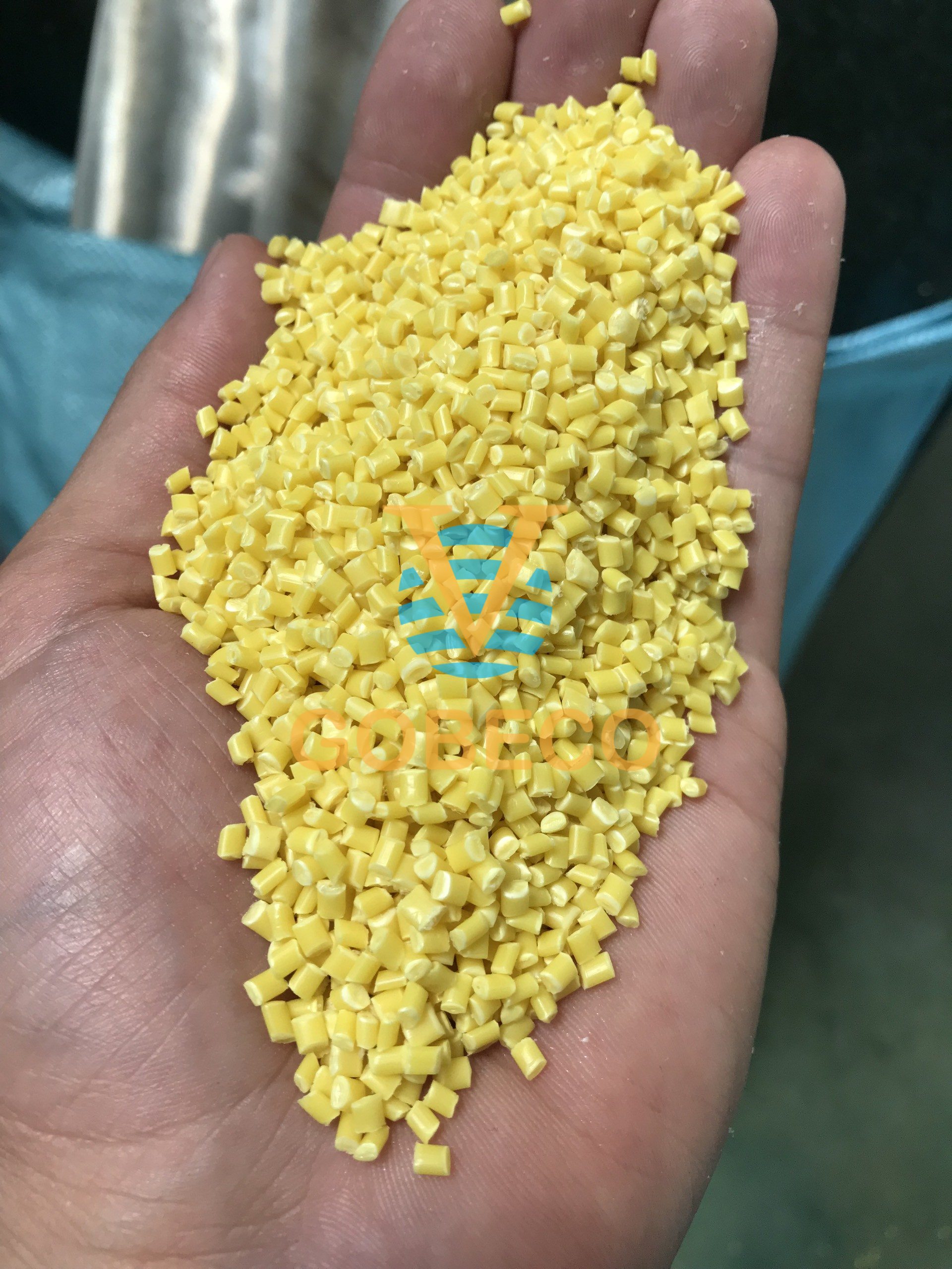 Hạt nhựa tái sinh PP vàng